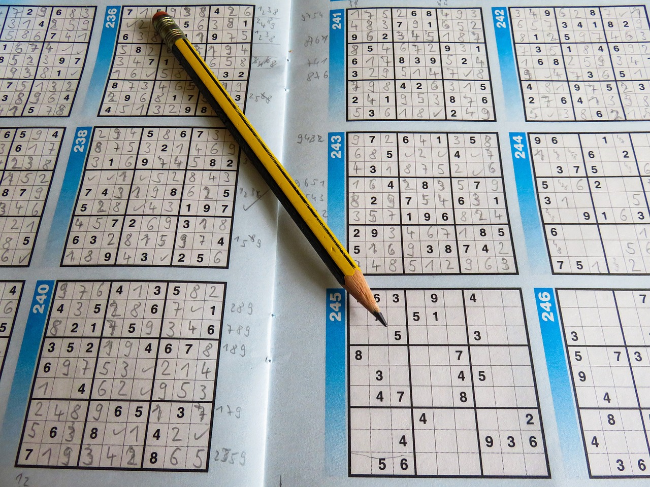 南阳花生最新价格行情分析与趋势预测