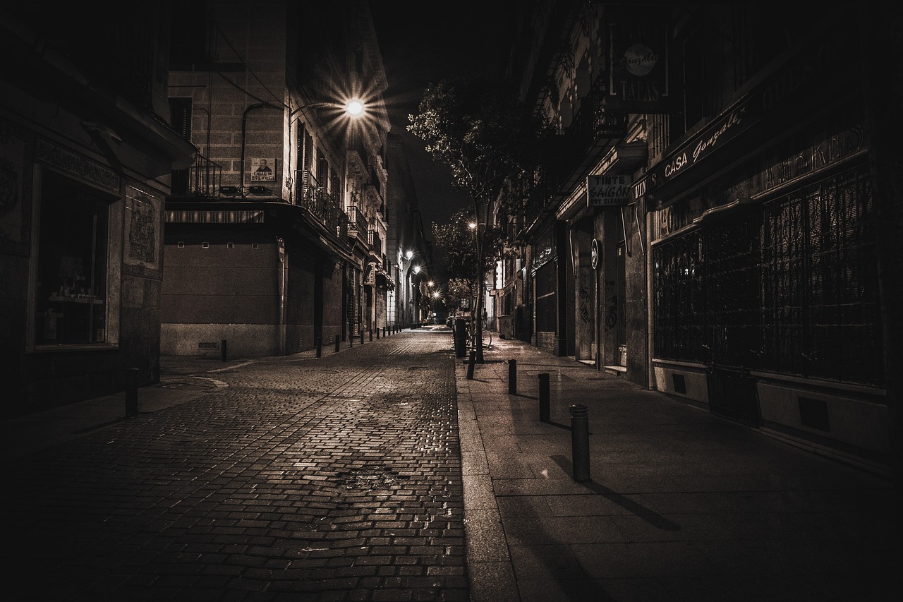 深夜福利分享，文化与知识的温暖传递之夜